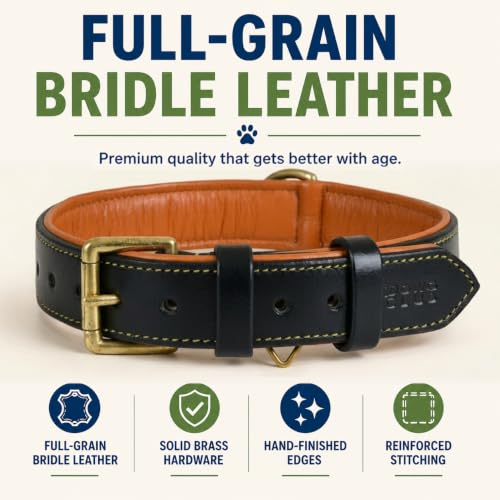 Image of Genuine Leather Dog Collar, Black, Extra Large, Brass Buckle, Padded | 1.5 Inch Wide, Fit Neck Size - 22 inch - 26 inch, Double D Ring, Adjustable, Thick Leather, Heavy Duty, Soft Leather padding