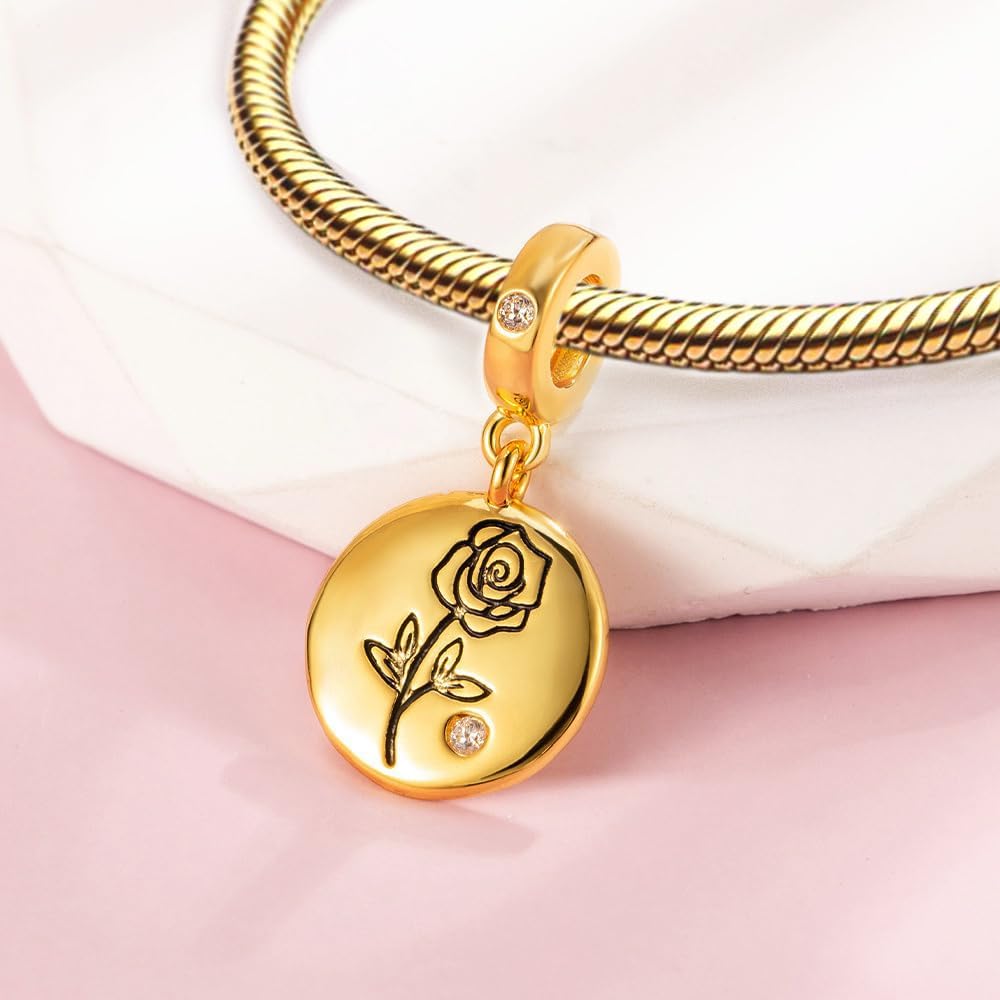 LaMenars Charms for Women Bracelets & Necklace, 925 Sterling Silver Family Love Pet Pendant Dangle, Birthday & Holiday Gift Idea for Women - Image 5