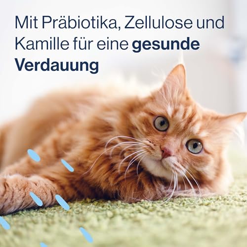 Pets Deli Katzensuppe Huhn – Getreidefrei mit Präbiotika für eine gesunde Verdauung – 12 x 40g