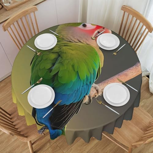 �~�`�e�[�u���N���X �R�U�N���C���R �k�� �e�[�u���J�o�[ ����h�~ ������� 152cm/60in �ۃe�[�u���E�e�B�[�e�[�u���E��Ɨp�e�[�u���Ή�