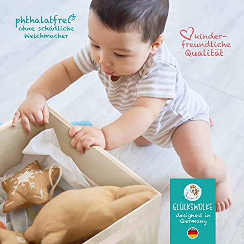 GLÜCKSWOLKE Kinder Aufbewahrungsbox - 15 Motive I Spielzeugkiste mit Deckel für Kinderzimmer I Spielzeug Boxen (33x33x33) Kiste zur Aufbewahrung im Kallax Regal I Bauernhof-Tiere Katze