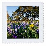 Square dimensions (in inches): 12 L x 12 W, image dimensions (in inches): 10 L x 10 W 100% poloyester; image is soft to touch. Made in USA Edges have pinking shear cut Image will not fade with washing. Image not a transfer, part of material