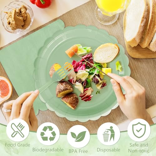 Image of Sage Green Paper Plates and Napkins,Sage Green Disposable Dinnerware, 25-7 inch