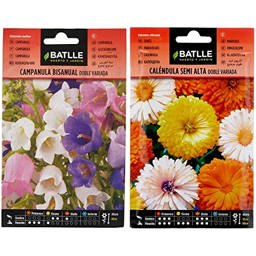 Campanula Bisanual doble variada & Caléndula semi alta doble variada