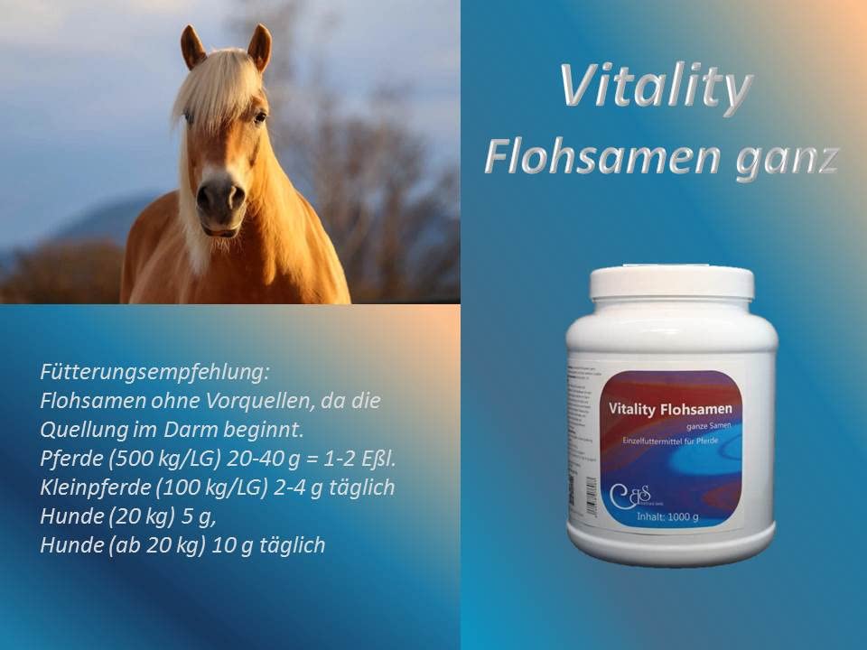 Vitality Flohsamen ganz Pferde - Pferdekot, Sandausscheidung, Kotwasser, Einzelkräuter Pferde (1000 g)