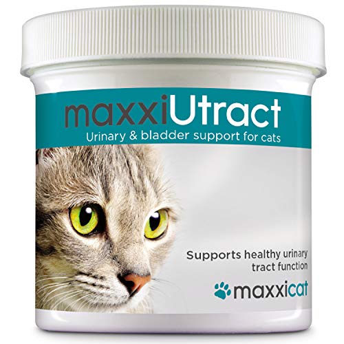 maxxicat  maxxiUtract Formule Canneberge Complément Alimentaire Urinaire pour des Chats  Supplément Félin pour le Contrôle de la Vessie et la Santé des Voies Urinaires (Poudre 60 g)