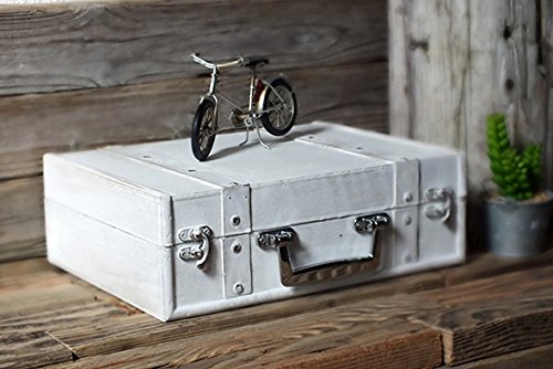 Amazon.co.jp: COVENT GARDEN SWウッデン・トランクボックスWH XJ-09