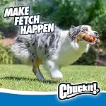 Chuckit! Jouet Interactif pour Chiens Ultra Fetch Stick - Jouet Extérieur pour Chiens de Toutes Tailles (12 po)