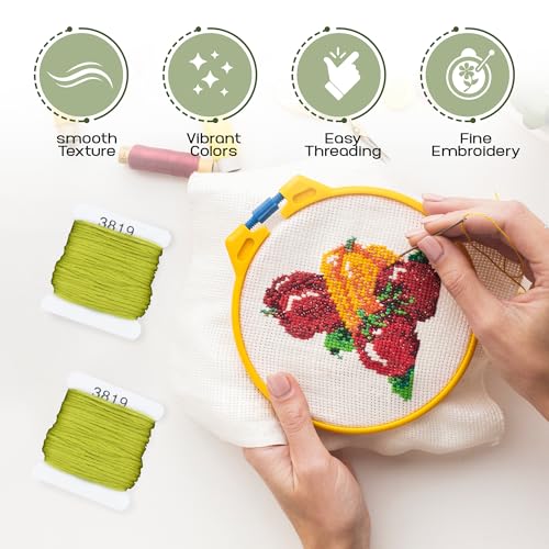 Image of Embroidery Floss Kit and Refills - Cotton Threads - DMC Color Coding for Cross Stitch, String Crafts, Friendship Bracelets