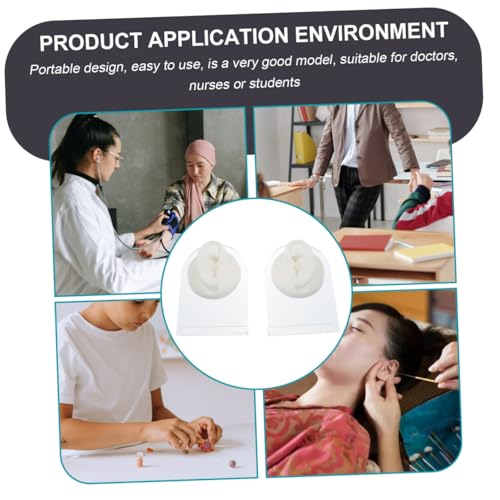 Modèle d'oreilles en silicone de haute précision pour présentation
