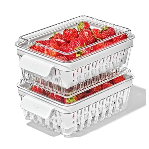 OXO Good Grips Berry Keeper 2-Piece Set