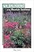Wildflowers of the Mountain Southwest (Natural History Series)