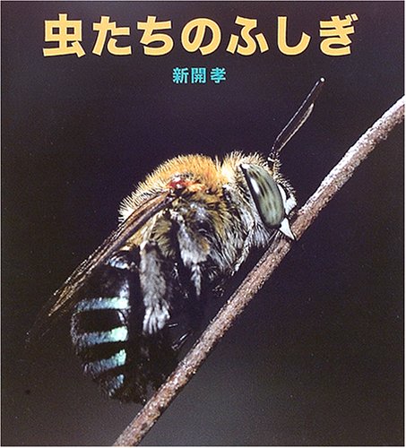 虫たちのふしぎ (福音館の科学シリーズ) | 新開 孝 |本 | 通販 | Amazon