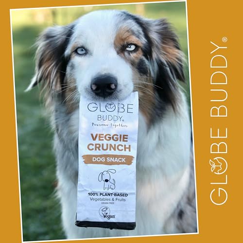 Veggie Crunch – Vegane Hundeleckerlis aus Gemüse & Früchten, Zertifiziert vegan – Nachhaltige, getreidefreie Snacks ohne künstliche Zusätze – 200 g