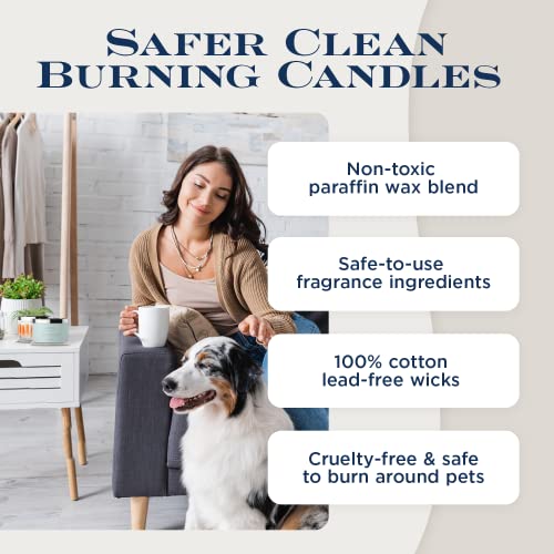 Premium Scented 4-Wick Candle, Magic Potion, Homeworx By Slatkin & Co - 18 Oz - Long-Lasting Jar Candle, 30-55 Clean Hours Burn Time - Black Rose, Sparkling Ginger, Grapefruit & Mandarin Orange #TOP5