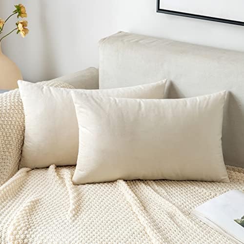 EMEMA Velvet Cushion Covers Light Blue Decorative Throw Pillow Case 16x16 Inch 40x40 cm Pillow Covers for Livingroom Sofa Bedroom Pack of 2