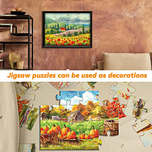 5 Packs 16 Piece Large Jigsaw Puzzles for Elderly Dementia Alzheimer's Products Activities, Alzheimer's Puzzles Cognitive Games for Adults Elderly Seniors with 5 Storage Bags - Image 7