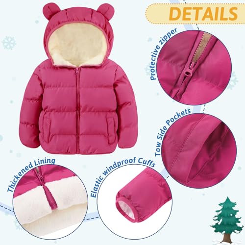 Image of BFUSTYLE Baby Toddler Coats Boys Girls Bear Ear Hooded Puffer Jackets 6M-5T