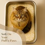 Citrrus Breeze Cat Litter – Premium Lightweight, Non-Clumping, Dust-Free Crystals for Odor Control, ScoopFree & Easy to Clean, Pretty Kitty Litter for Multi-Cat Homes