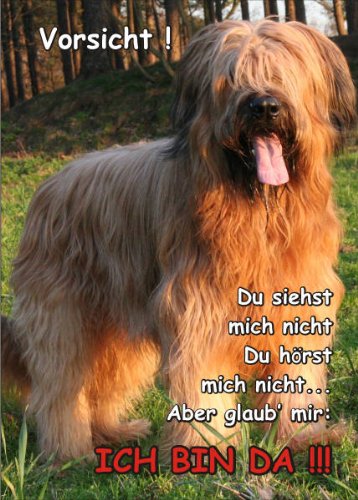 Cartello Attenzione Al Cane Briard - In PVC Resistente 150x100 Mm, Fabbricato In Francia
