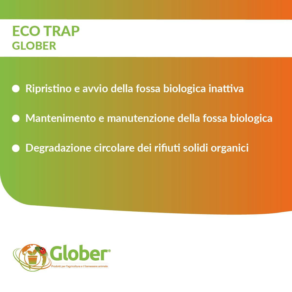 ECO-TRAP Septic Tank 1,5 Kg - Enzimi per Fosse Biologiche con Dosatore - Attivatore Fossa Biologica - Made in Italy - Pulizia e Manutenzione Circolare Fosse Settiche, Elimina Cattivi Odori e Ingorghi
