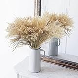 Uieke 50Pcs Dried Pampas Grass Large Reed Plumes Natural Dried Flower Plants Phragmites Communis...