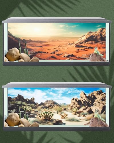 Image of Breling 4 Pcs 71 x 18 Inch Reptile Habitat Background with Nano Glue Gobi Sun Cactus Stone and Green Tree Fern Stream Terrarium Background Polyester Durable Aquarium Accessories