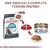 Royal Canin Feline Care Nutrition Urinary Care Adult Dry Cat Food, 3 lb Bag