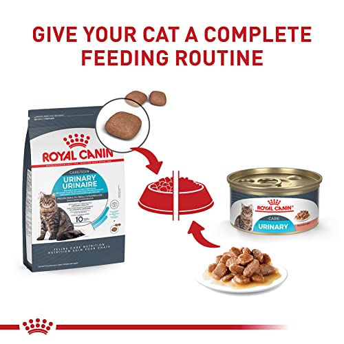 Royal Canin Feline Care Nutrition Urinary Care Adult Dry Cat Food, 6 lb bag - image 4