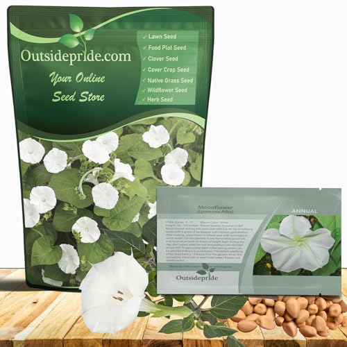 Outsidepride Ipomoea Alba Moonflower Seeds – 100 Pcs Annual, Vining Flower Seeds for Planting, Fragrant Night-Blooming Climbers for Trellises, Moon Gardens, Night Pollinators & Outdoor Landscapes