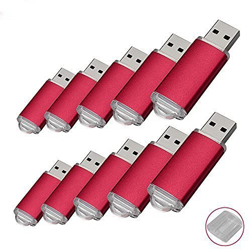RAOYI10 Pack USB2.0 Flash Drive Swivel Memory Stick Jump Drive Thumb Pen Drive 4G Red U215Red-4G*10