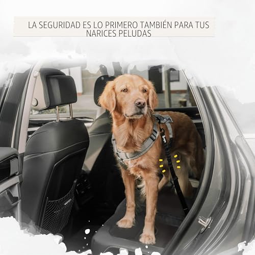 Miniatura 3 de Rudelkönig Cinturón De Seguridad Para Perro En Coche - Ajustable Y Elástico Para Todas Las Razas