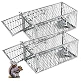 Humane Squirrel Trap - 2 Pack, Rat Trap That Works 12.5'x6.5'x5.5', Small Rodent, Chipmunk Trap Cages | Catch and Release | Reusable and Durable | No Kill Animal Trap | Indoor for Home and Outdoors