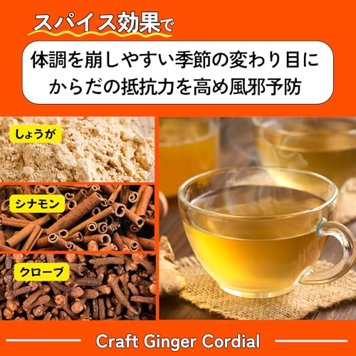 果実本舗 ジンジャーシロップ コーディアル エルダーフラワー 200ml