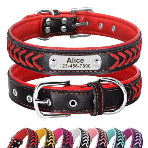 Didog Personalized Leather Dog Collar, Braided Custom Leather Dog Collars with Engraved Nameplate for Small Medium Large Dogs, Red, XL