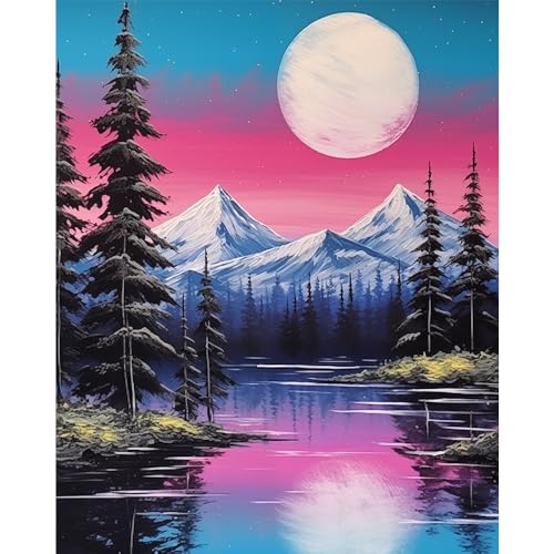 Natuyalo Paint by Numbers for Adults Beginner, Forest Night Scene Acrylic Easy Paint by Numbers Kits Natural Landscape Craft Kits for Adults Suitable for Home Wall Decoration Flameless 16x20 Inch