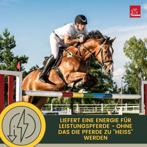 Sojaschrot Pferd - Aufbaufutter Pferd mit Vitamin E Aminosäuren B-Vitamine 6Kg Zusatzfutter Muskelaufbau Soja Protein Pulver für Gewichtszunahme I Weight Gainer Zunehmen bei Untergewicht