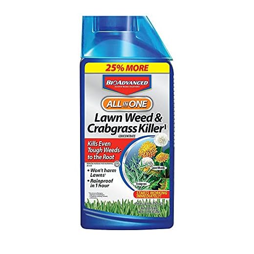 All-In-1 Weed Killer