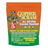 Gopher Scram All Natural Granular Repellent - All-Natural, Animal, People and Pet Safe Granule from EPIC Repellents (3.5 lb Bag)