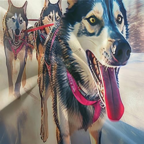 Housse de couette husky 135x200 parure de lit microfbre - 7