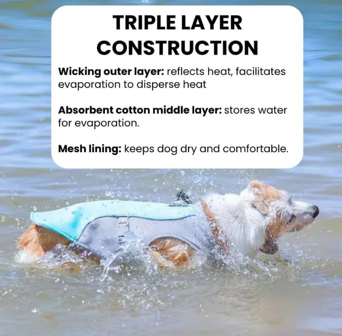 Gilet rafraîchissant pour chien par temps chaud, respirant et réglable, maintient les animaux de compagnie à l'aise pendant les activités de plein air
