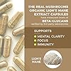 Lions Mane Mushroom Cognition Capsules (120 Capsules) Lions Mane Mushroom Powder Extract Capsules | Brain Supplement, Brain Vitamins, Focus Supplement