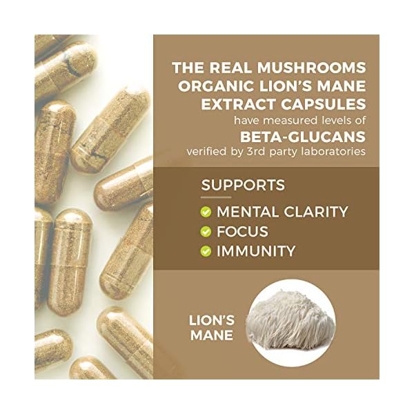 Lions Mane Mushroom Cognition Capsules (120 Capsules) Lions Mane Mushroom Powder Extract Capsules | Brain Supplement, Brain Vitamins, Focus Supplement