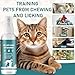 axofwga Cat Deterrent Spray, Spray 100% Natural Cat Spray Deterrent, Effectively Guides Training, Prevent Cat Scratching and Urine Marking Training Aid, Cat Deterrent for Indoor & Outdoor (Cyan)