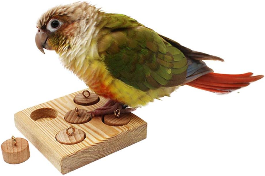 QBLEEV Bird Puzzles Board Toys, Trick Training Wood Blocks Foot Toys, Parrot Educational Color Wooden Activity Play Gym Accessories