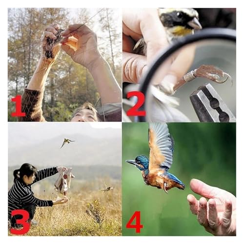 Filet anti oiseaux de jardin pour préserver les cultures - 7