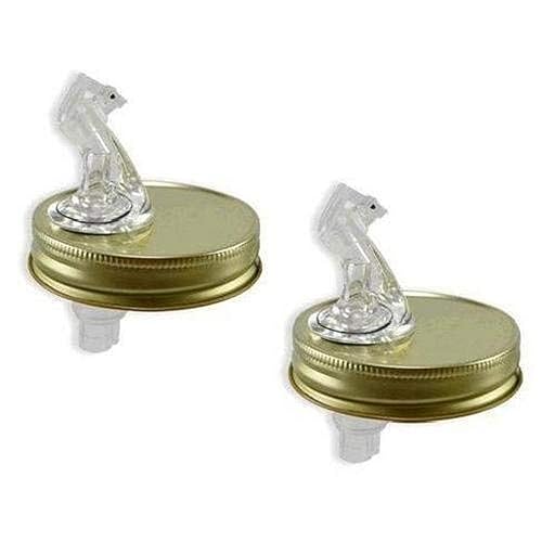 Tarro Mason Pouring Spout Regular Jar Tamaño 2 Pack (con aleta)
