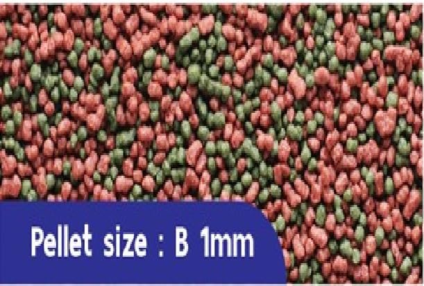 Image of Omega One, Special Fish Food with Spirulina for Colour,Growth & Jelly Enhancer Floating Type Micro 1 Mm Pellet 20 Gm,All Life Stages
