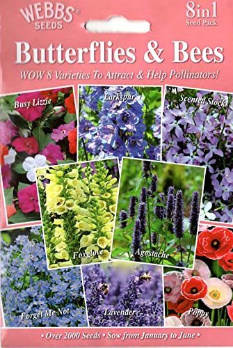 Butterfly & Bees 8x1: Busy Lizzie/Larkspur/ScentedStock/Foxglove/Agastache/Forget-me-not/Lavander/Poppy