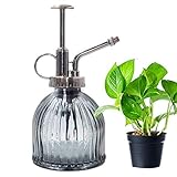  Cyleibe Pflanzensprüher,Sprühflasche Glas Blume Wasser Spray Flasche Kann Topf Vintage Stil Spritzer Pflanze Zerstäuber Mit Pumpe Dekorative Glas (Grau)